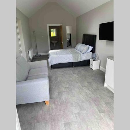 The Forest Chalet - Stunning Studio Apartment Ballycastle Eksteriør billede