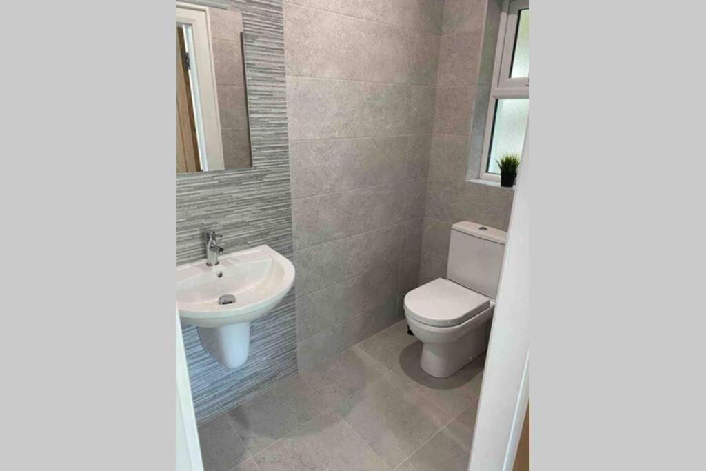 The Forest Chalet - Stunning Studio Apartment Ballycastle Eksteriør billede